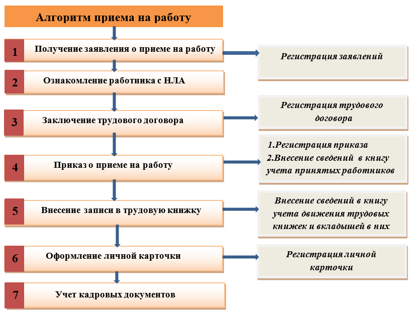 Алгоритм приема на работу сотрудника схема